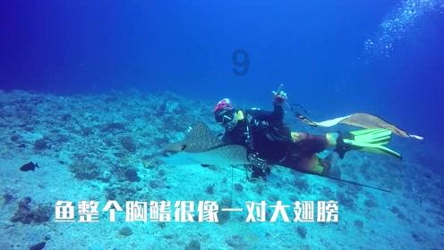 无人的神秘村