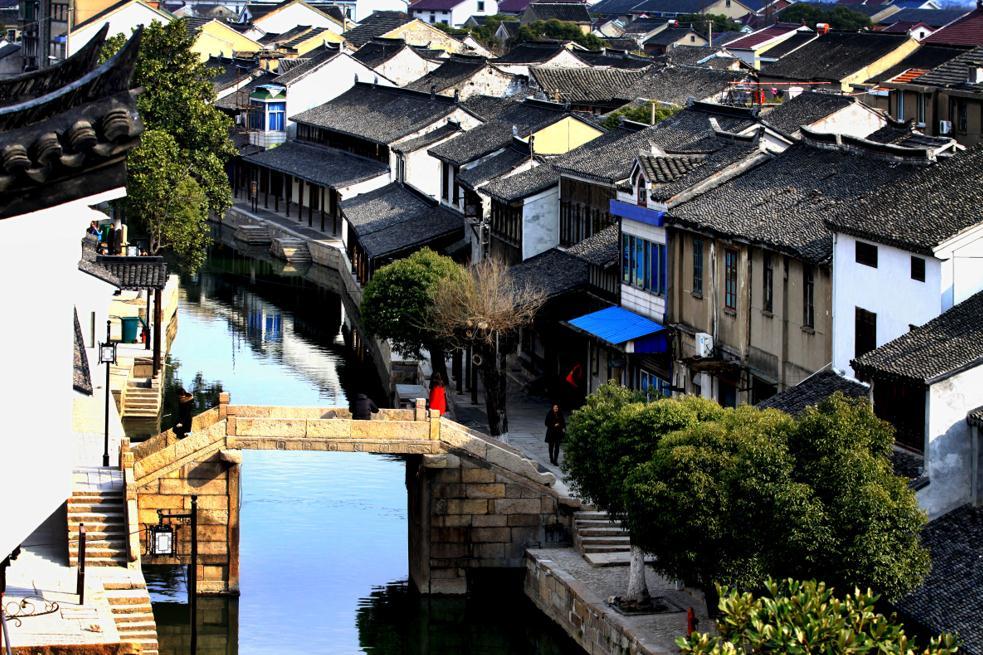 拯救枯树